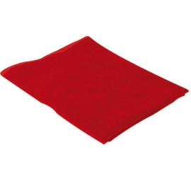 PAÑOS DE FRANELA ROJA