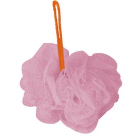 ZACATE FLOR