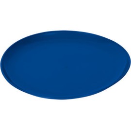 PLATO TAQUERO GERVA