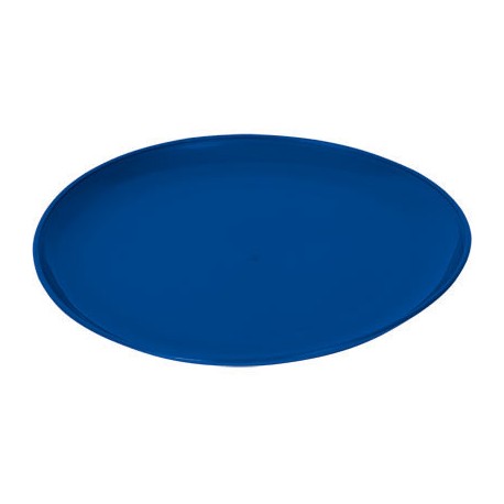 PLATO TAQUERO GERVA