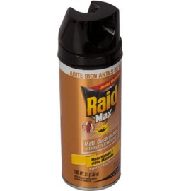 RAID MAX CHICO 170 GRS. (250 ML.)