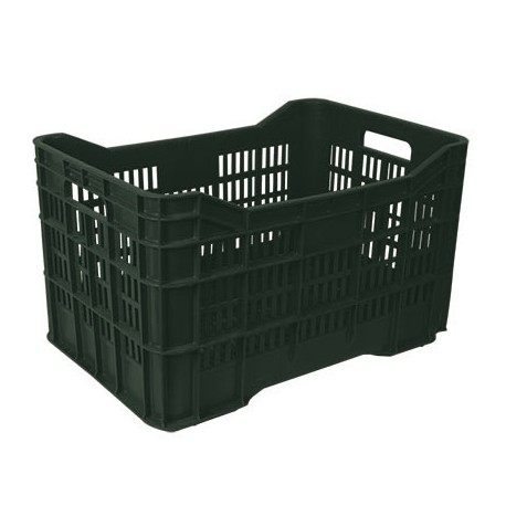 CAJA MEDIANA ABIERTA ECON.**