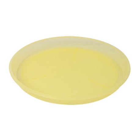 CHAROLOTA PLASVIC