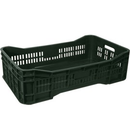 CAJA GIGANTE MEDIANA ABIERTA ECON.**